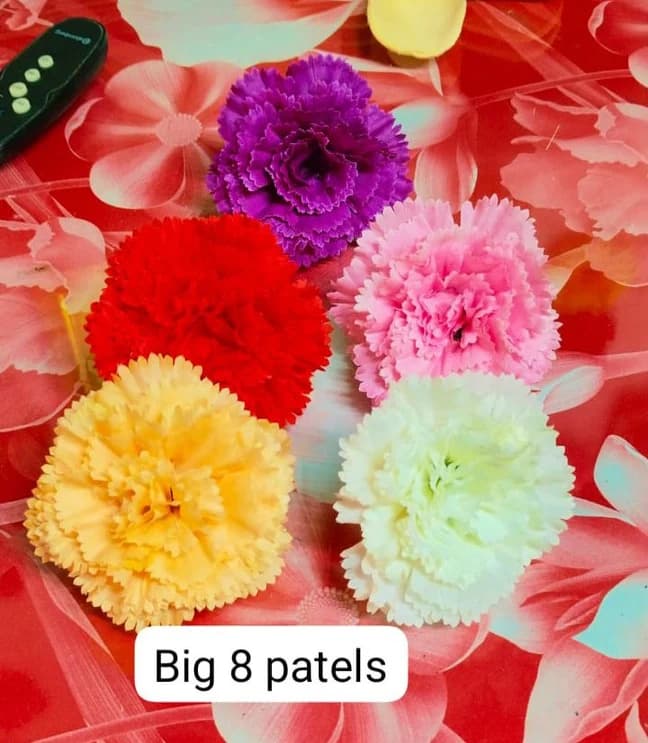 9 Pappri Carnation — FloralforU