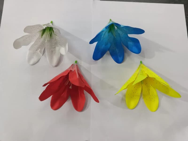 Lilly — FloralforU