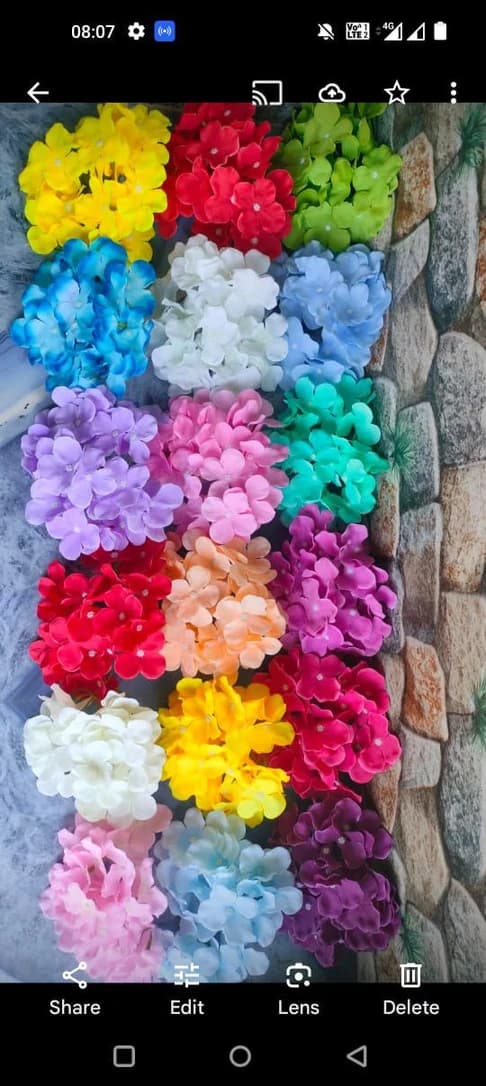 Hydrangea — FloralforU