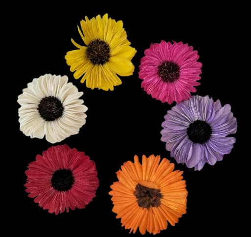 Sunflower Rose — FloralforU