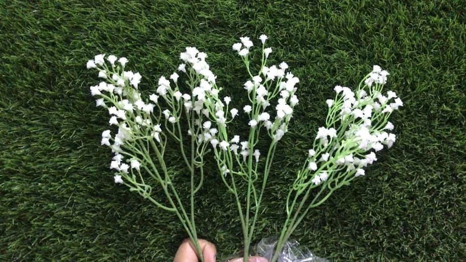 White Gypsy — FloralforU