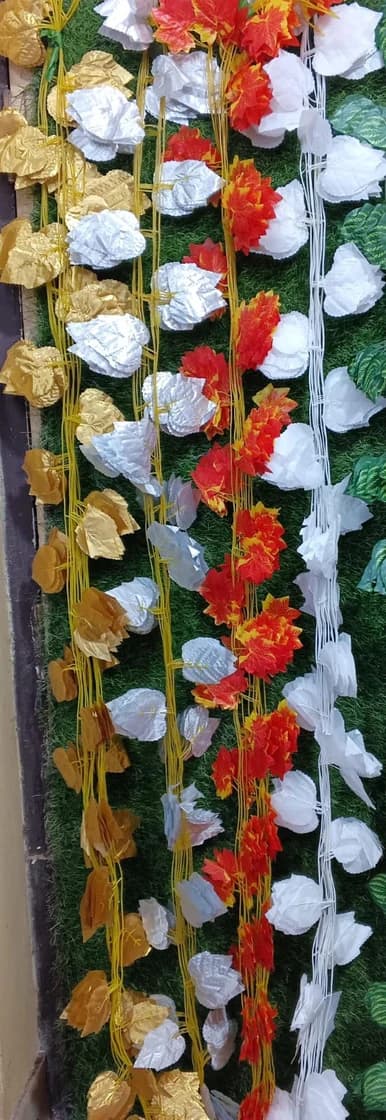 Color Money Plant — FloralforU