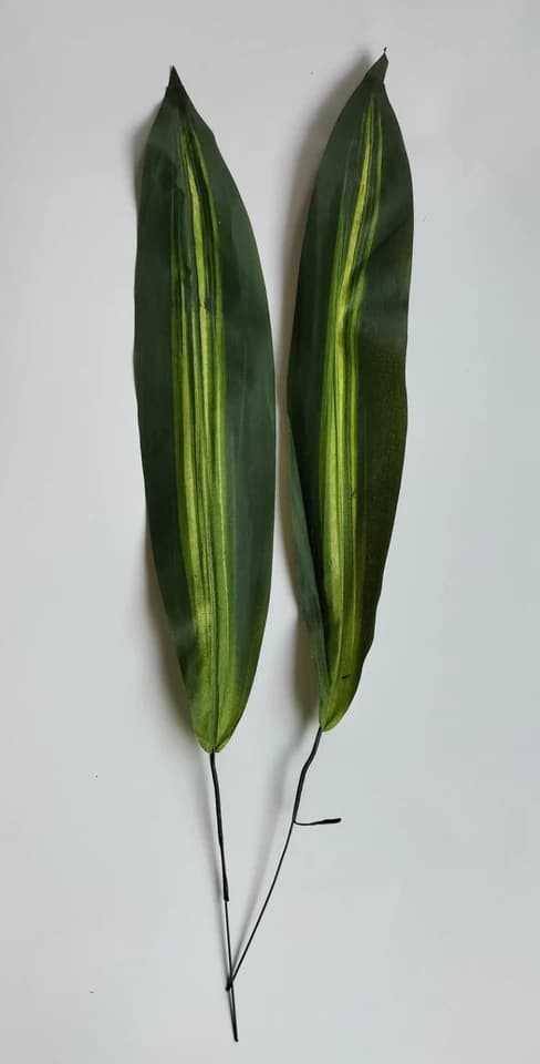 Victoria Patta — FloralforU