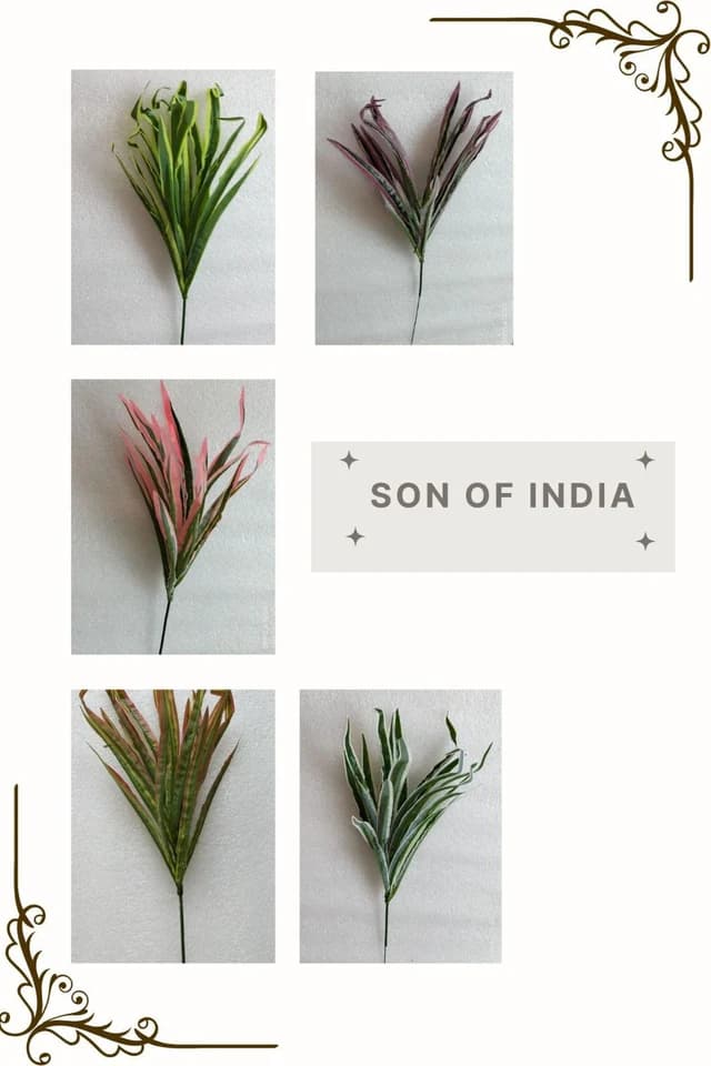 Son Of India — FloralforU