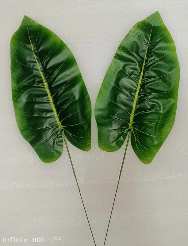 Banana Leave — FloralforU