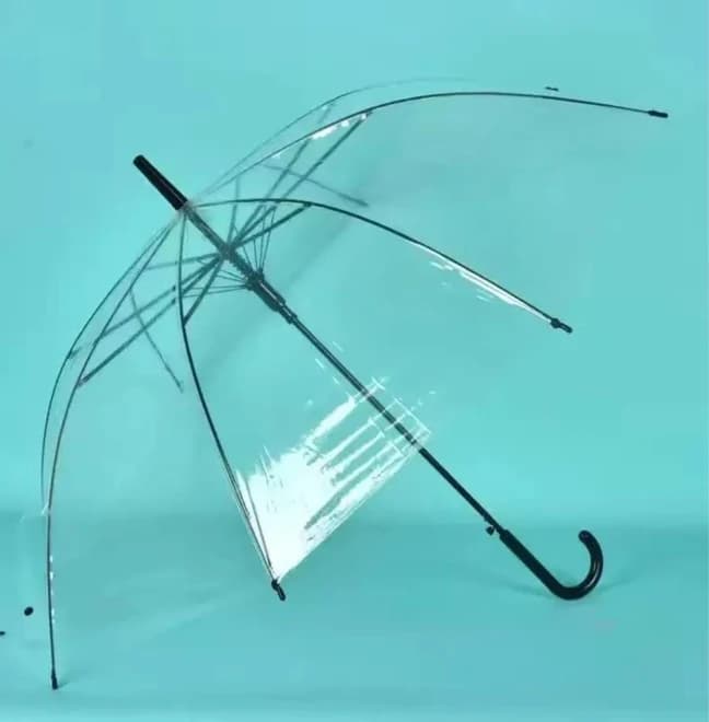 Transparent Umbrella — FloralforU