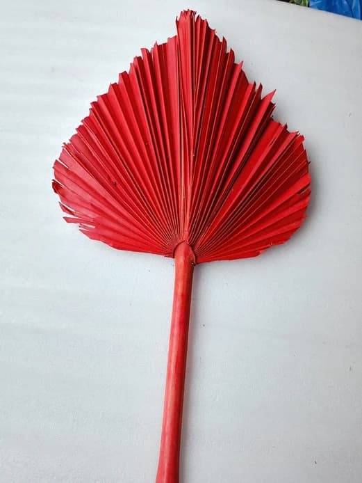 Big Dry Taal Pata — FloralforU