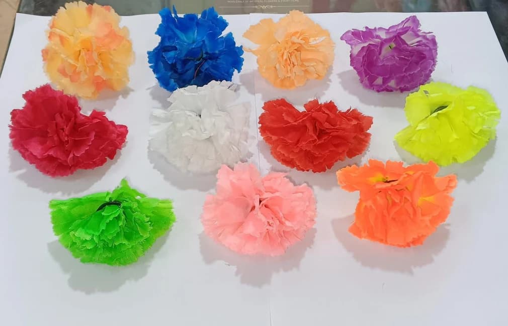 Carnation Flower — FloralforU