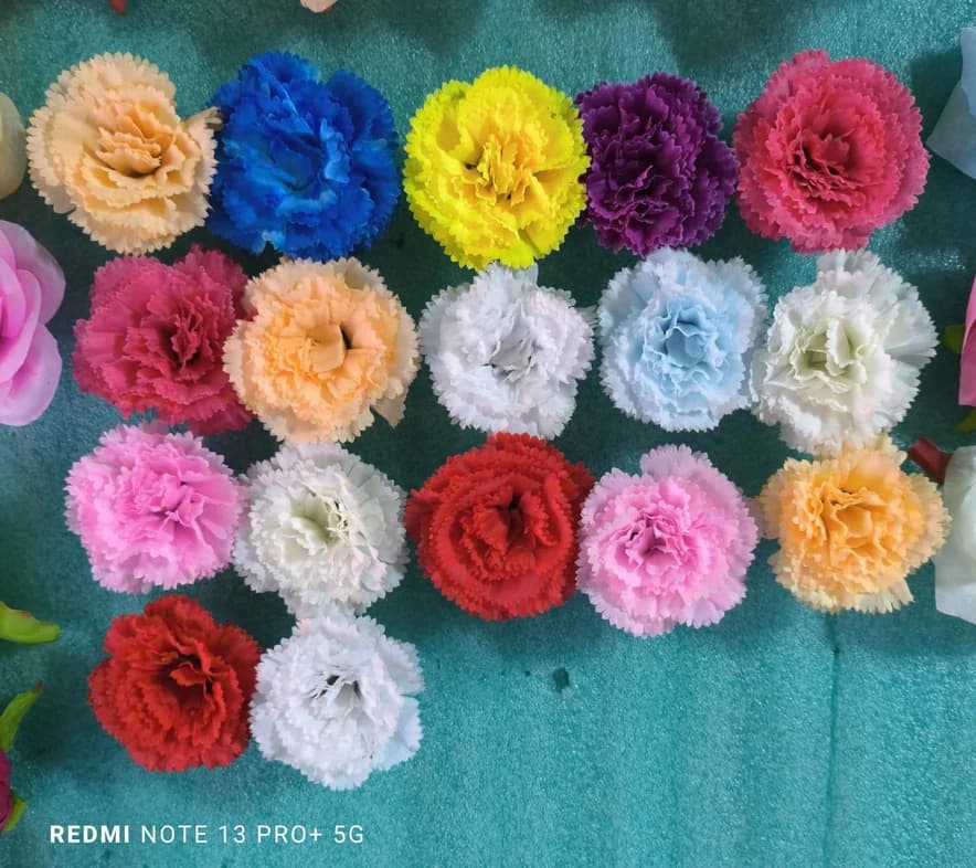 Special Carnation — FloralforU