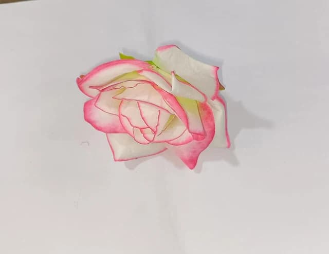 Diamond Rose — FloralforU