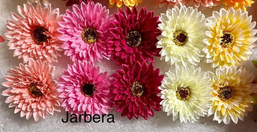 Zarbara — FloralforU