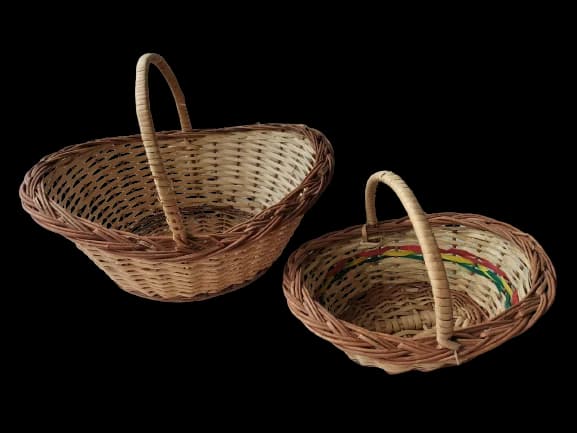 Kasti Handle Basket — FloralforU