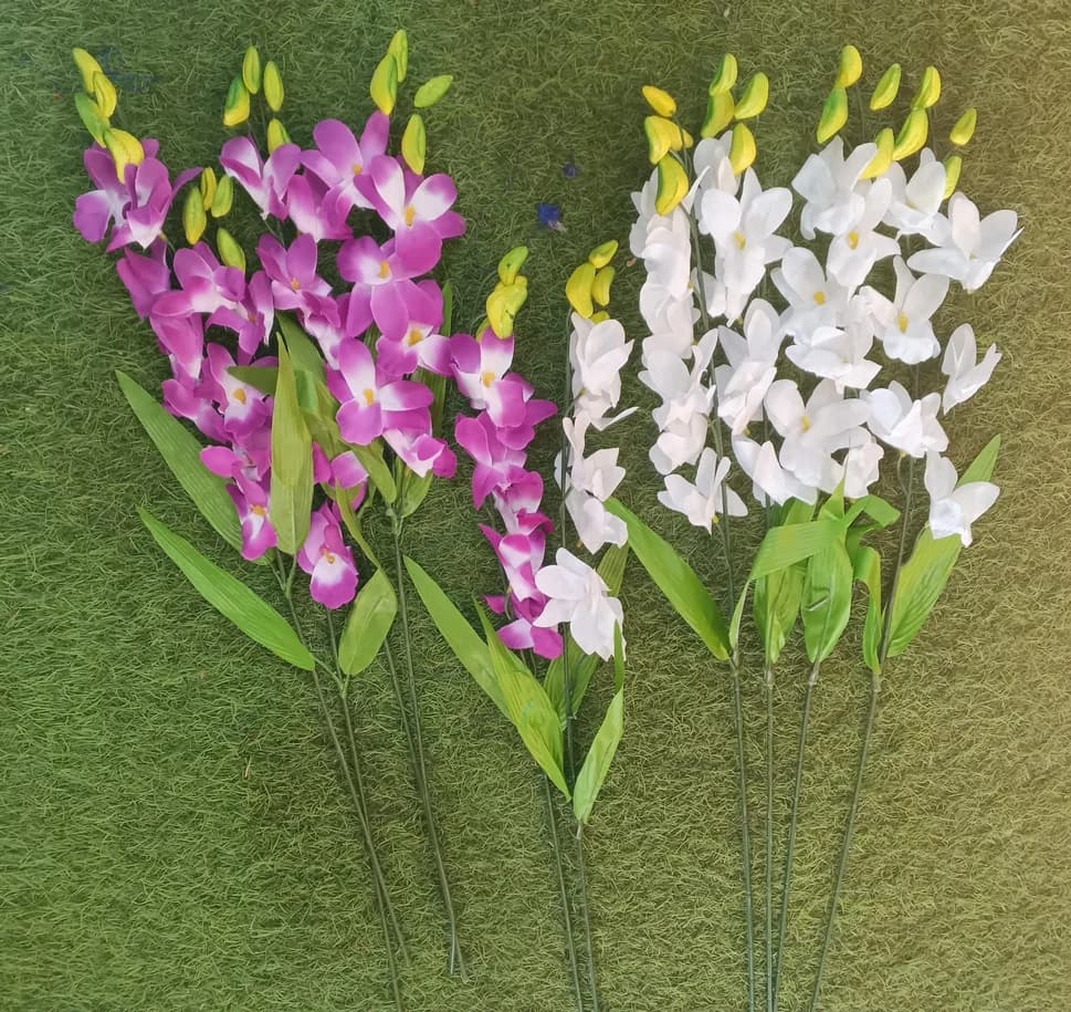 Orchid — FloralforU