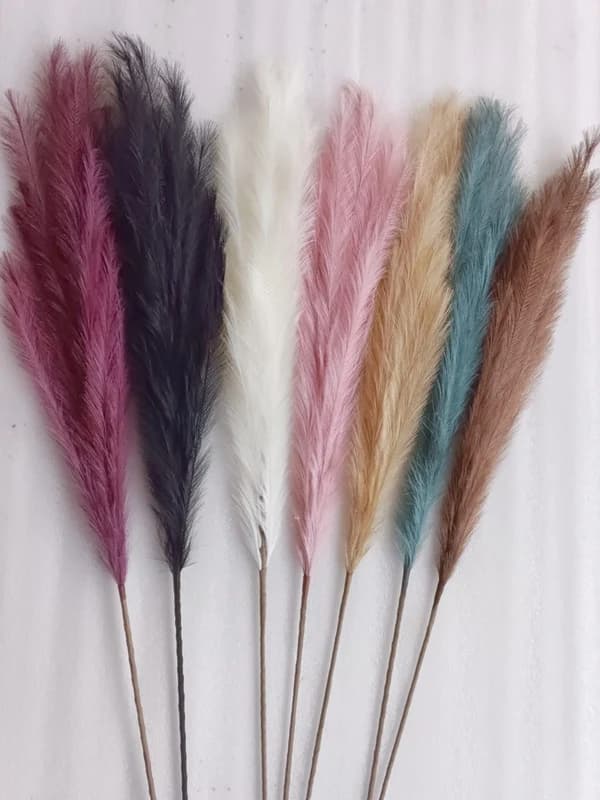 Fancy Pompas — FloralforU